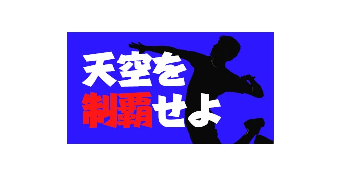 天空を制覇せよ