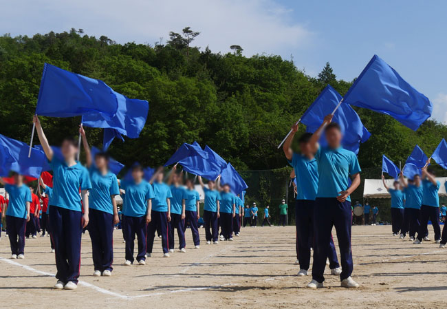 実績233 使用イメージ