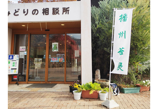 実績310店舗様の展示会屋外装飾用のぼり旗 使用風景